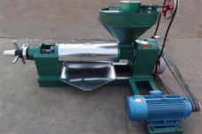 如何选购一台性价比高的螺旋榨油机?